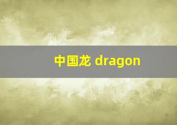 中国龙 dragon